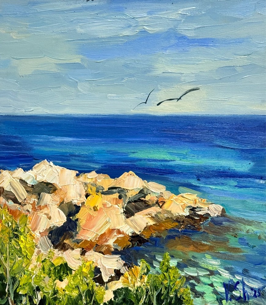 Original Oil Painting Seascape Mountains Wall Art Nautical Seagull California