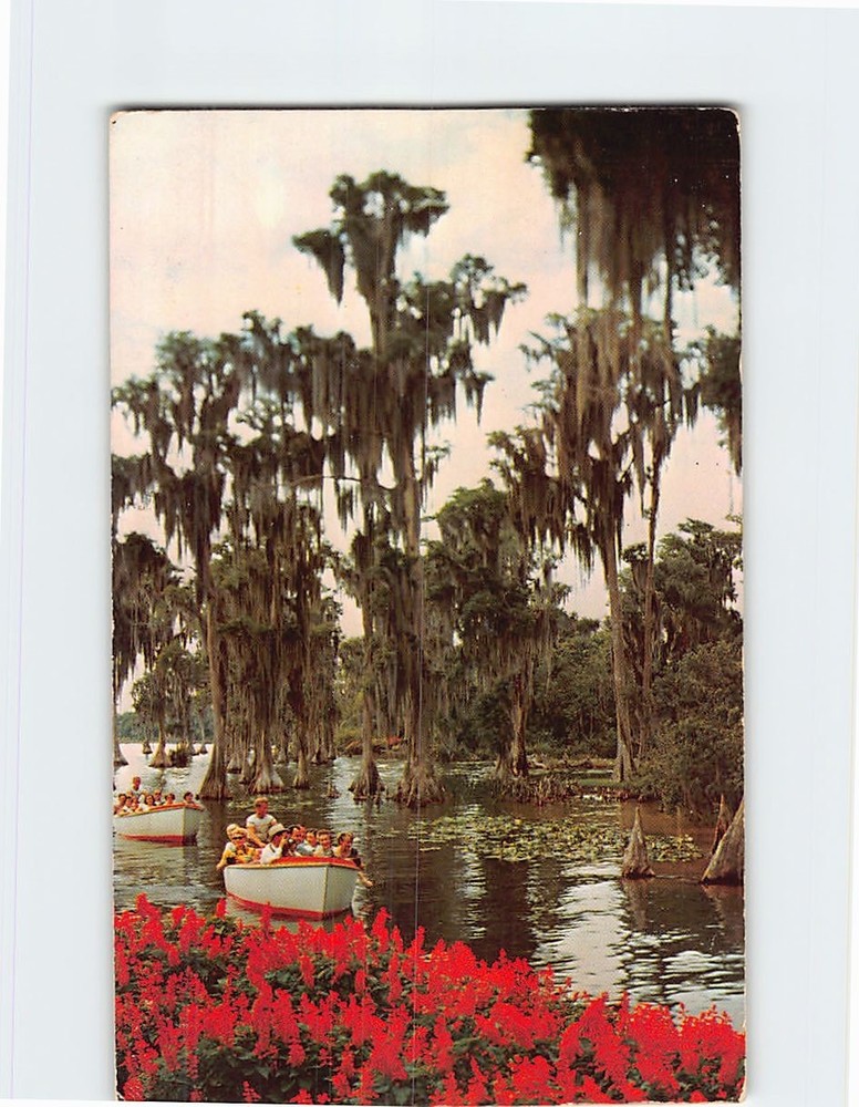 Postcard Sightseeing Boat Glides in Florida's Cypress Gardens USA