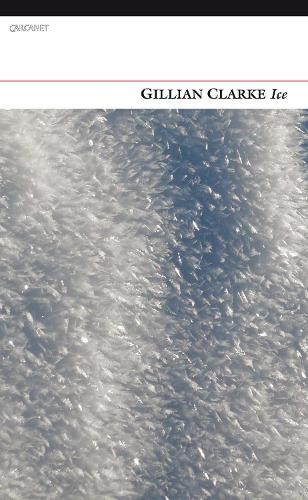 Ice by Gillian Clarke Book The Fast Free ShippingFREE US DELIVERY | ISBN: 1847771998 | Quality Books