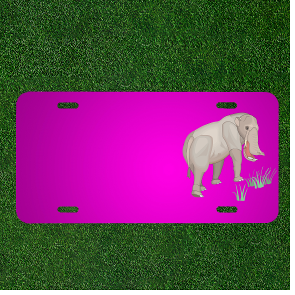 Create a Custom Car License Plate Personalized with Your Name and Grass Bill Standing Design