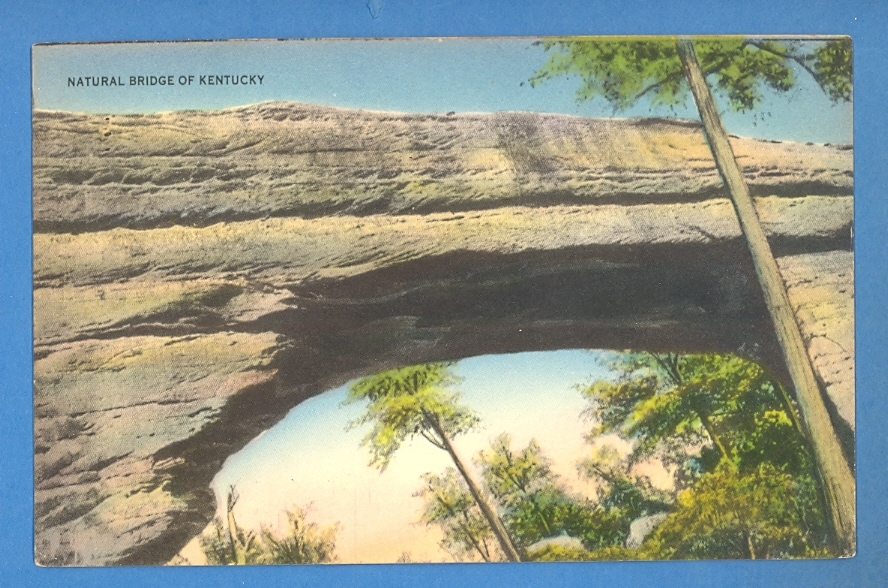 Kentucky - Natural Bridge Of Kentucky Postcard 567