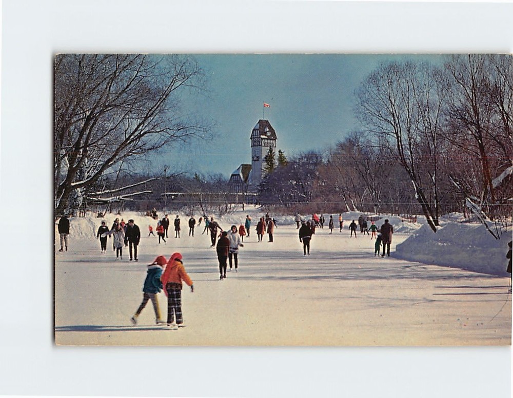 Postcard The Duck Pond Assiniboine Park Winnipeg Manitoba Canada