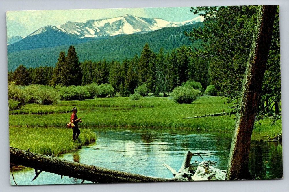 Vintage Miner's Creek Near Jackson Montana Scenic Postcard