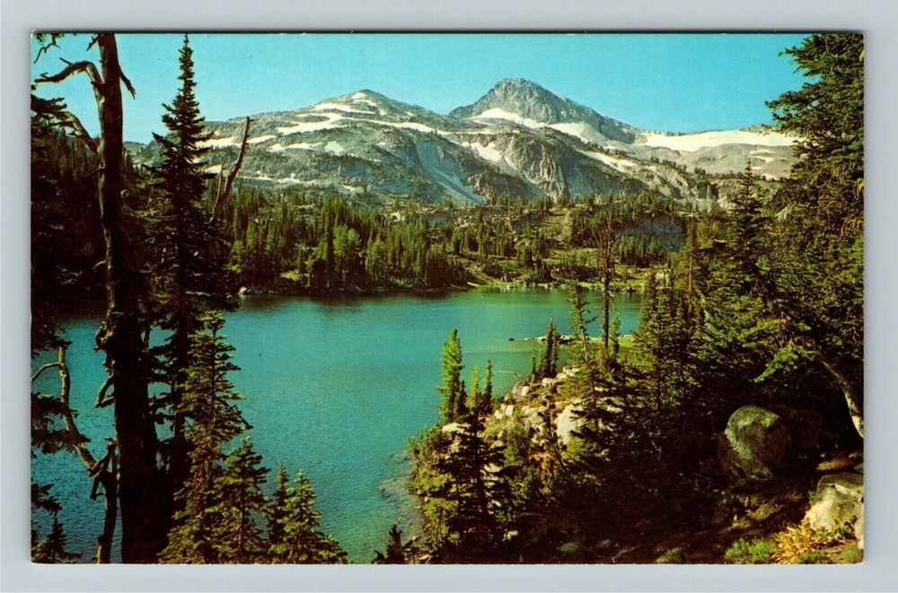 Wallowa Mountain OR-Oregon, Moccasin Lake, Forest, Vintage Postcard