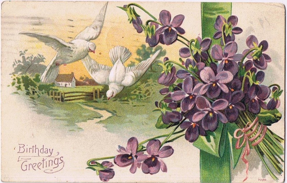 Postcard Embossed Birthday Greetings Doves Violets