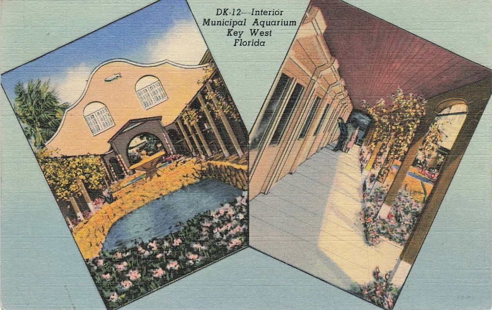 1948 Municipal Aquarium Interior Key West Florida DK-12 Unposted Linen Postcard