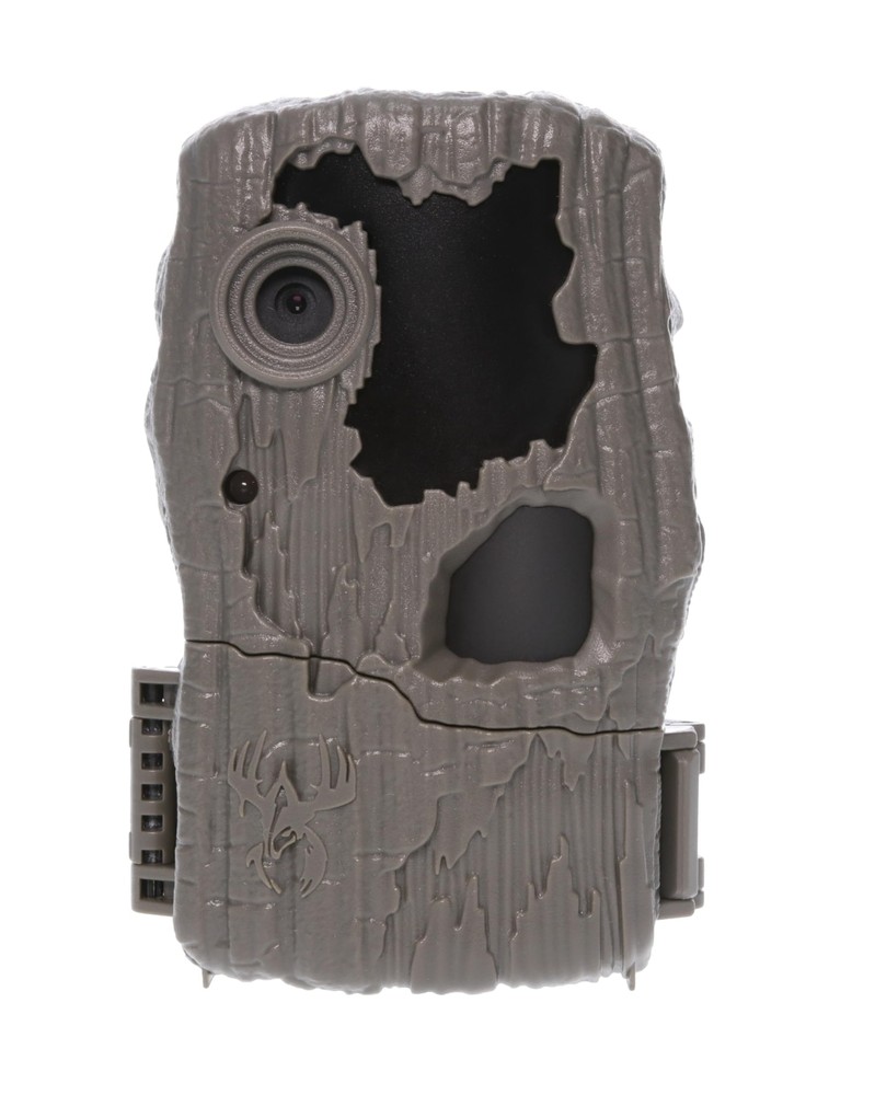 Switch Camera