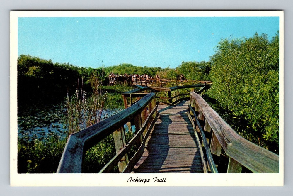Everglades FL-Florida, Anhinga Trail, Everglades National Park, Vintage Postcard