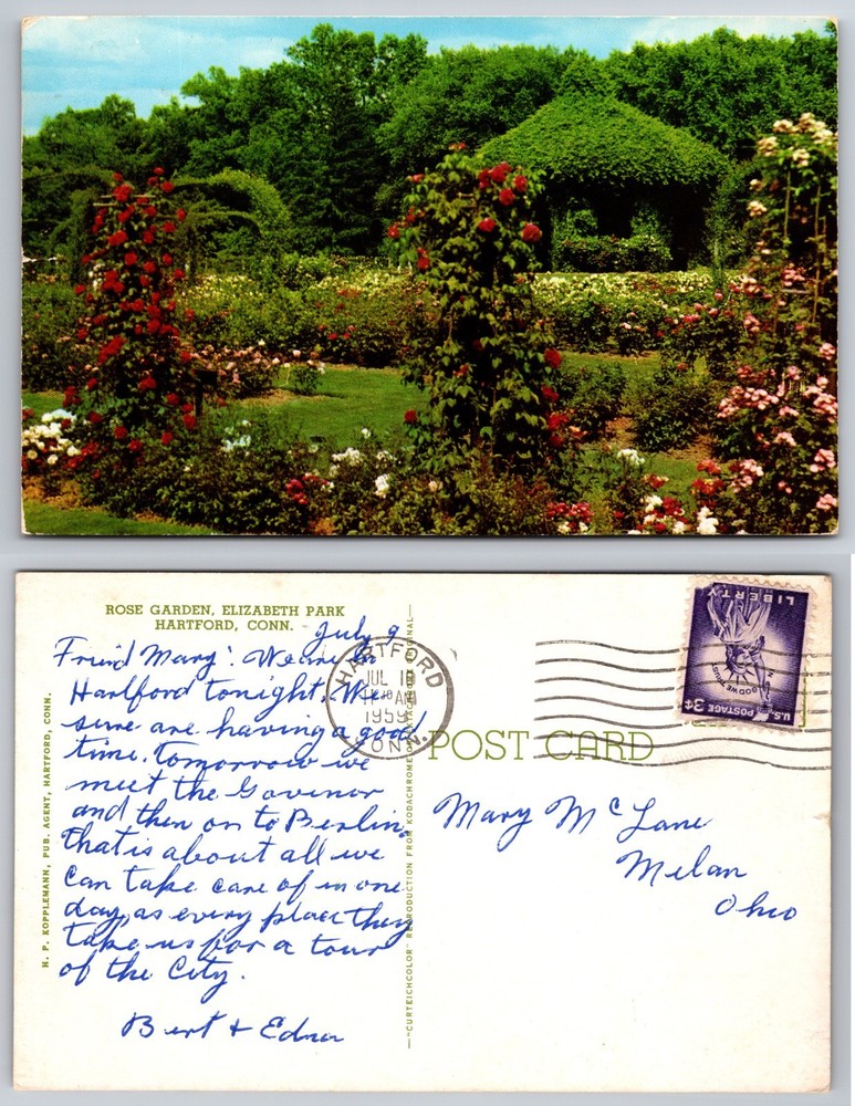 Rose Garden Elizabeth Park Hartford Conn Postcard