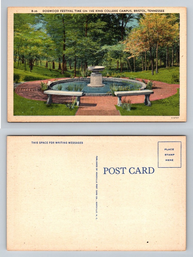 Bristol TN-Tennessee, Dogwood Festival King College Campus Vintage Postcard