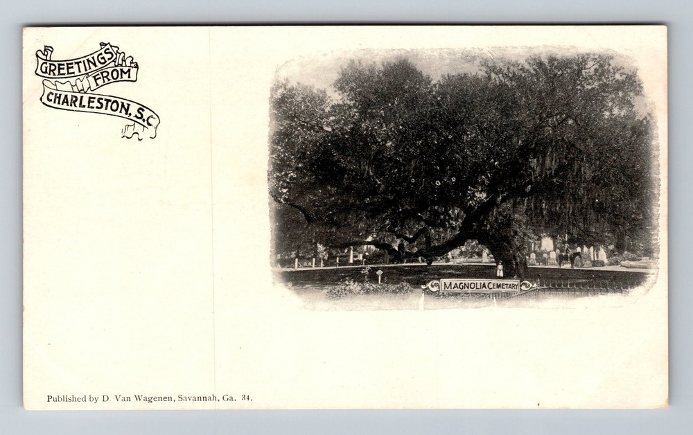 Charleston, SC-South Carolina, Magnolia Cemetery View Old Vintage Postcard
