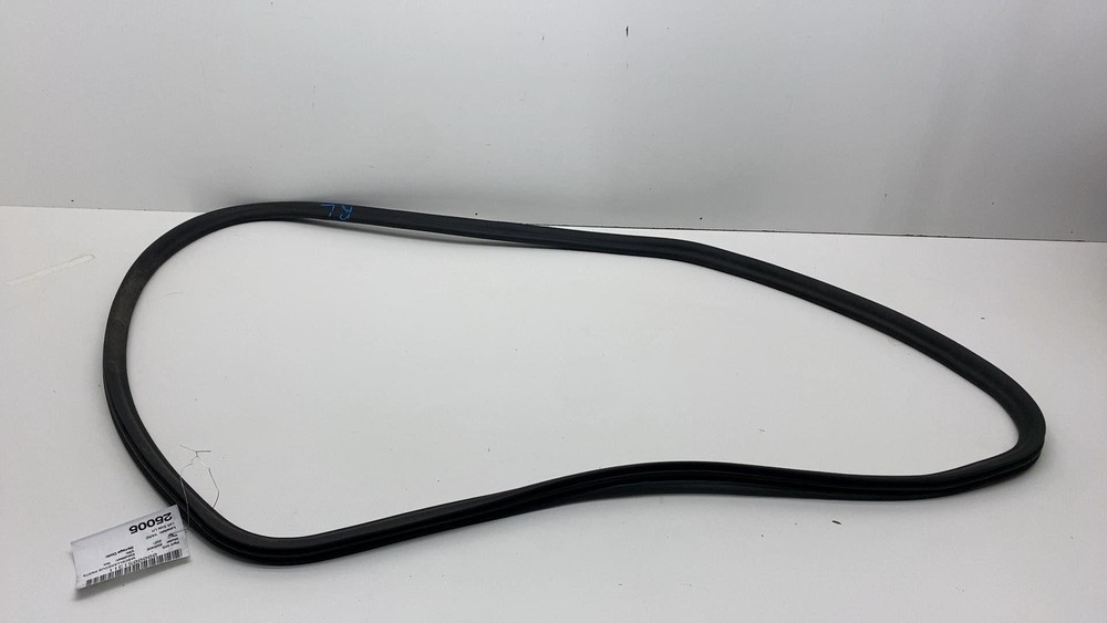 2019-2021 BMW 530e G30 Left Rear Driver Side Door Weatherstrip Seal OEM