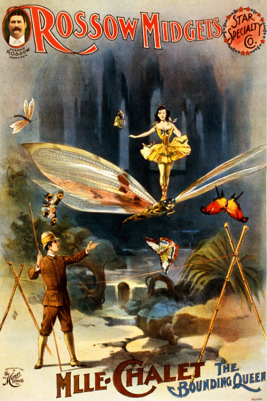 Vintage Circus POSTER.Home wall.Midgets Show.Room Art Decor.599