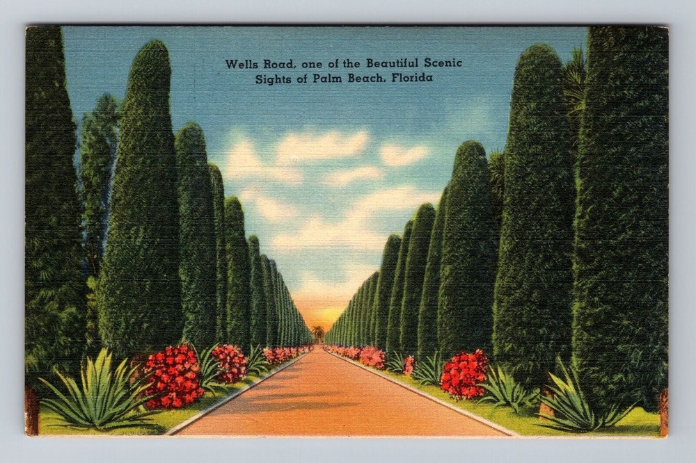 Florida FL Palm Beach Wells Road Of Scenic Sights Vintage Postcard
