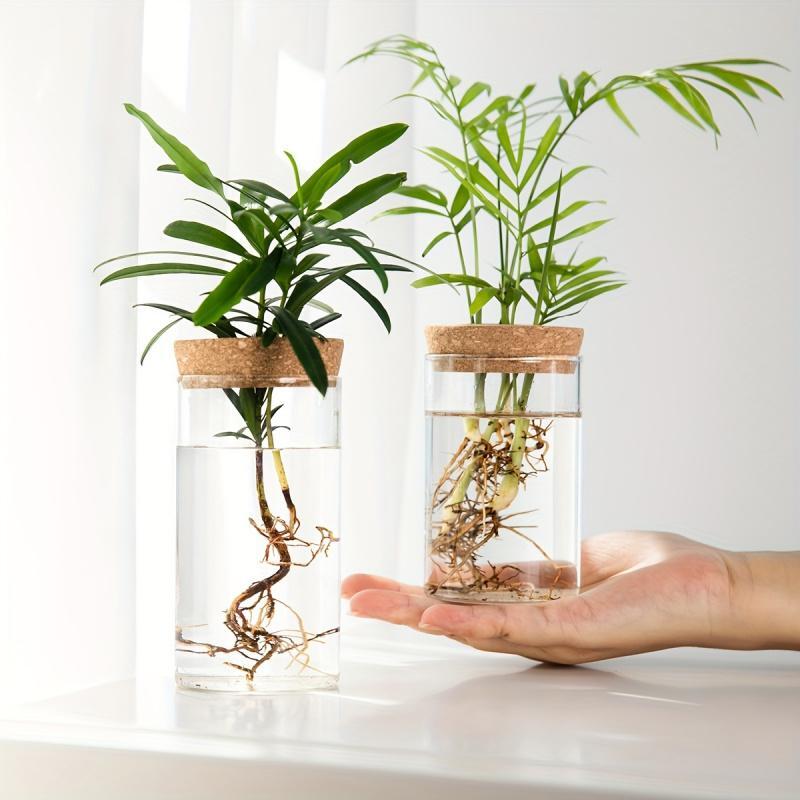 1pc Glass Hydroponic Planter Vase Desktop Bud Propagation Station Home Decor
