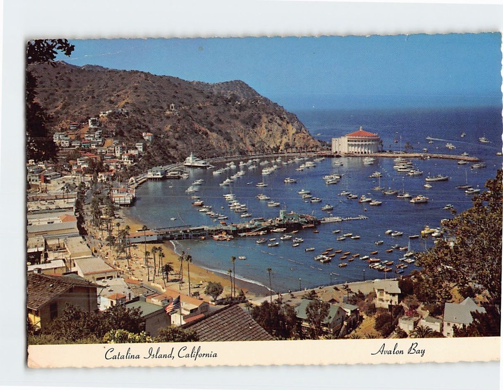 Postcard Avalon Bay Santa Catalina Island California USA