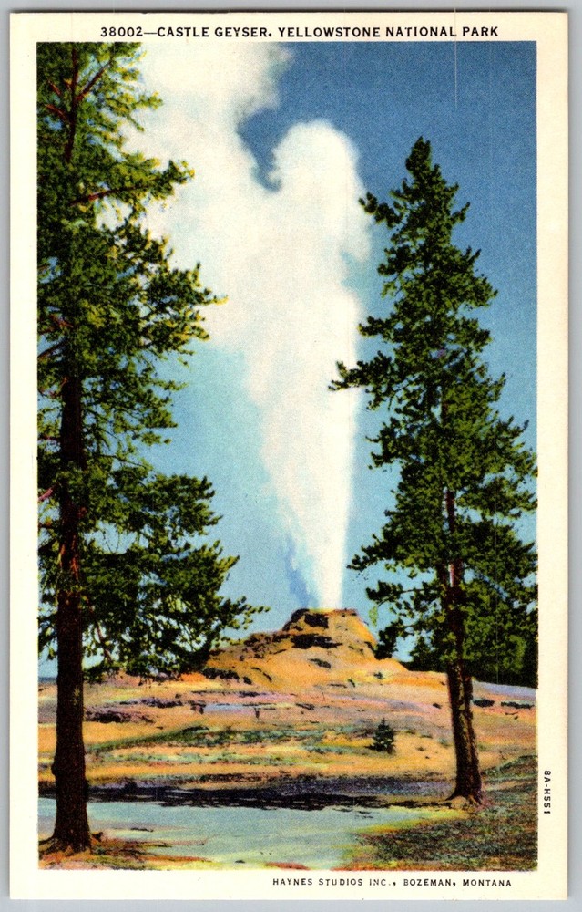 Vtg Postcard Castle Geyser Yellowstone National Park, WY 1930s