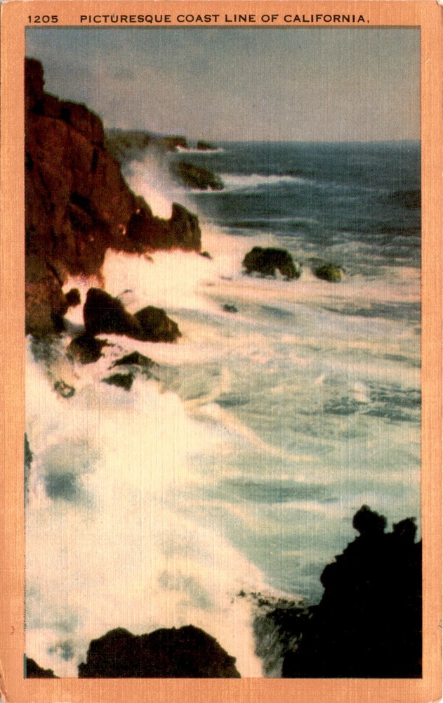 California, Longshaw Card Co., Los Angeles, Pacific Coast Postcard