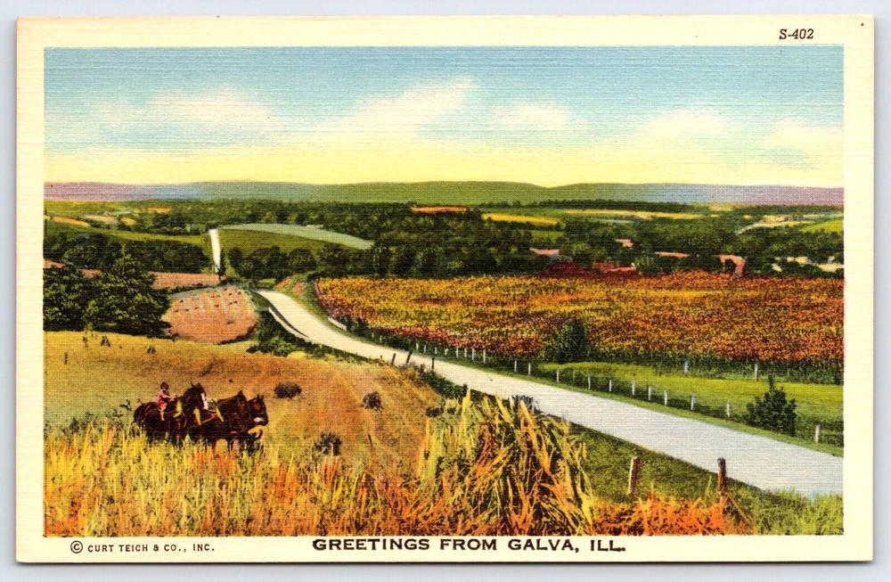 Vintage Old Outdoor Antique Postcard Image Man Horse Animal Field Road Trees