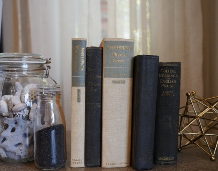 Vintage Book Bundle Hardcover for Decor set of 5