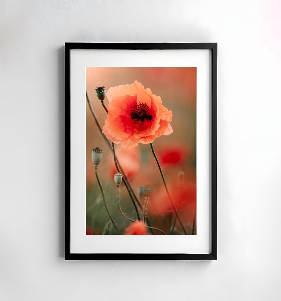 Flowers Photography Nature Wall Art Poster Print Macro Nature Photography Decor