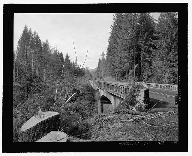 General perspective view of the Pamelia Creek Bridge, view looking west -