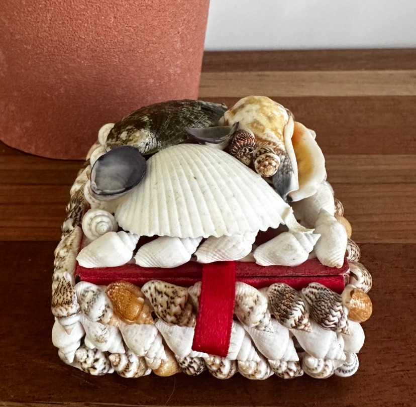Vintage Sea Shell Trinket/Jewelry Box Small Lidded Red Lining