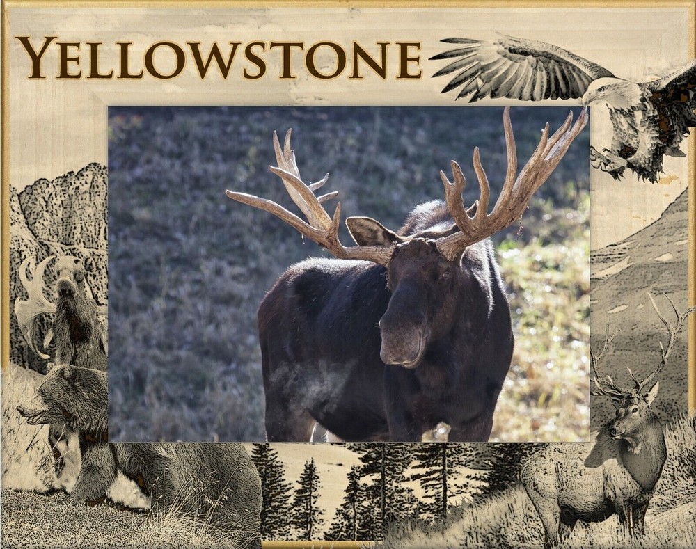 Yellowstone National Park Wildlife Laser Engraved Wood Frame Landscape (4 x 6)