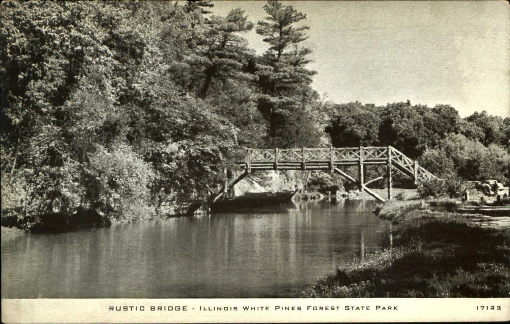 Illinois White Pines Forest State Park rustic bridge camera study CR Childs