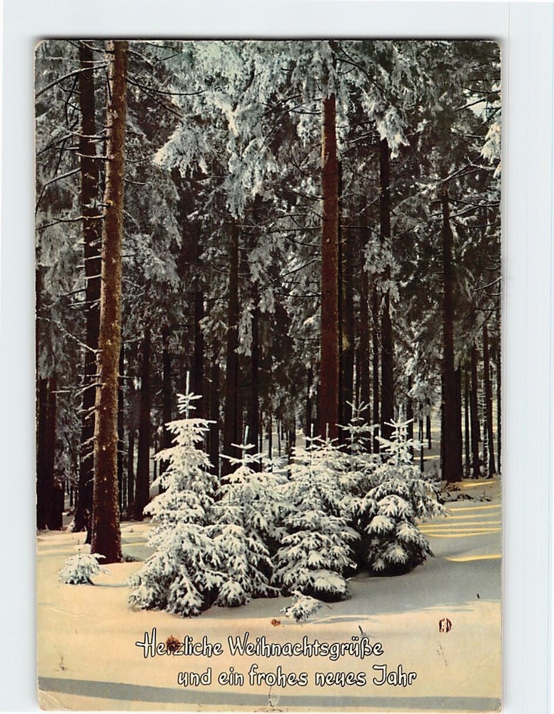 Postcard Winter Scenery Christmas and New Year Holiday Greetings