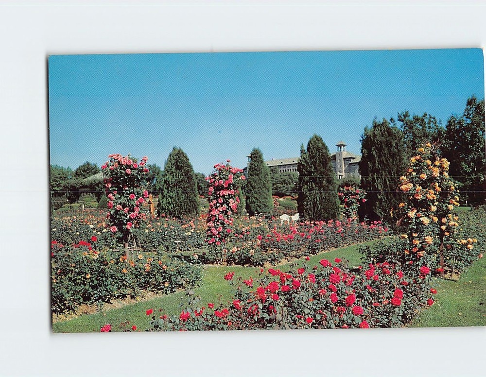 Postcard In the Rose Garden Hershey Pennsylvania USA