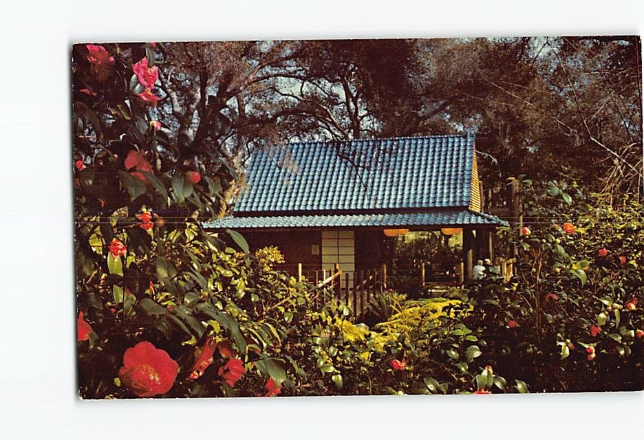Postcard Lovely Descanso Gardens La Canada California USA North America