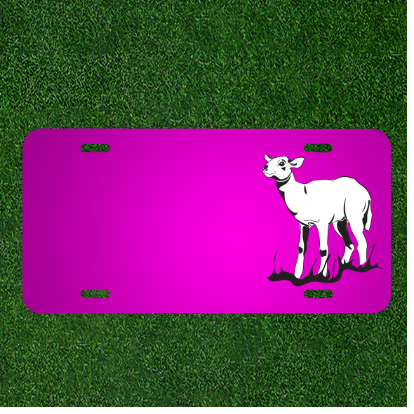 Custom Personalized Car License Plate With Add Names To Grass Looking Standing