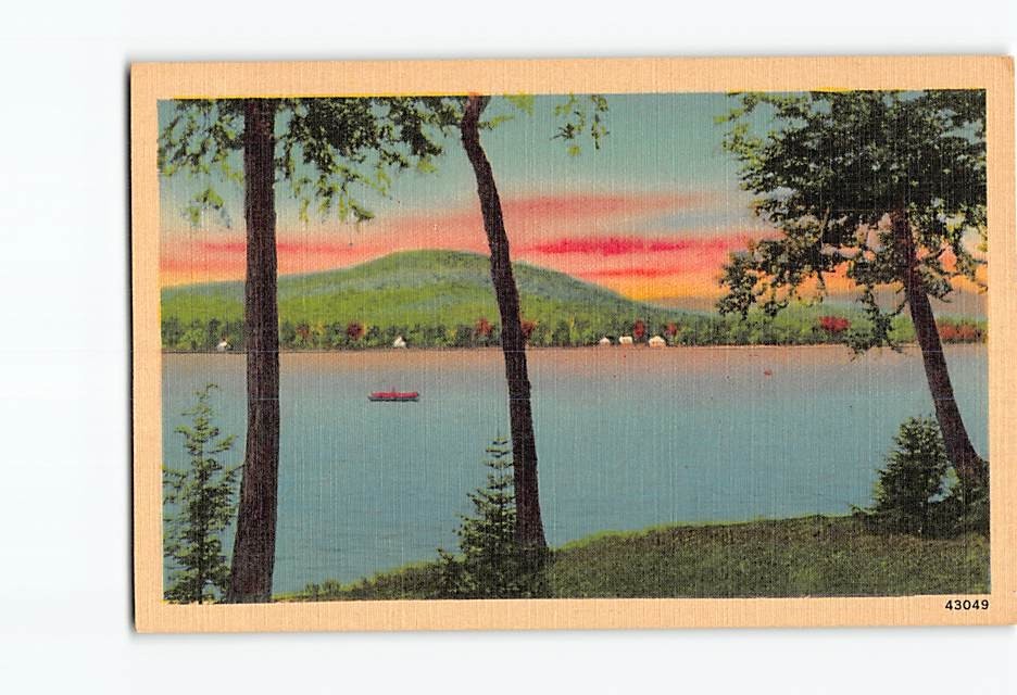 Postcard Trees Lake Mountain Landscape Scenery