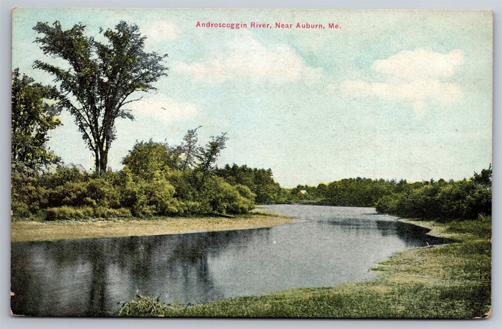 Androscoggin River Auburn ME C1910's Postcard P10