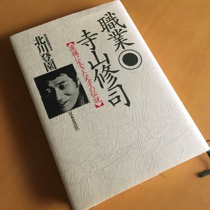 Shuji Terayama Occupation Book Vintage Japanese Literature Nippon Bungeisha Mino