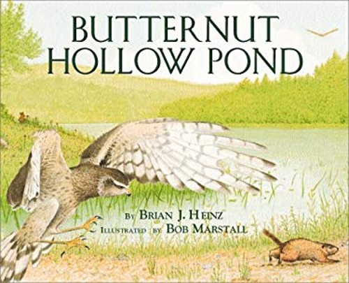 Butternut Hollow Pond Library Binding Brian J. HeinzFree US Delivery | ISBN:0761302689