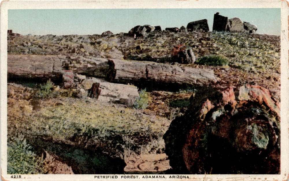 PETRIFIED FOREST, ADAMANA, ARIZONA, Petrified Forest, Southwestern Postcard