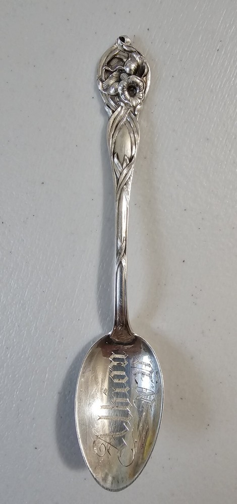 Watson Orchid 1903 Sterling Teaspoon 5 9/16
