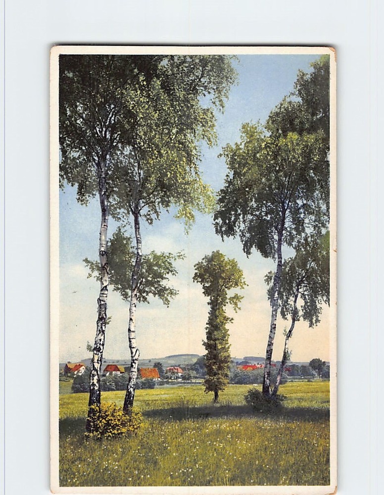 Postcard Countryside Nature Scene