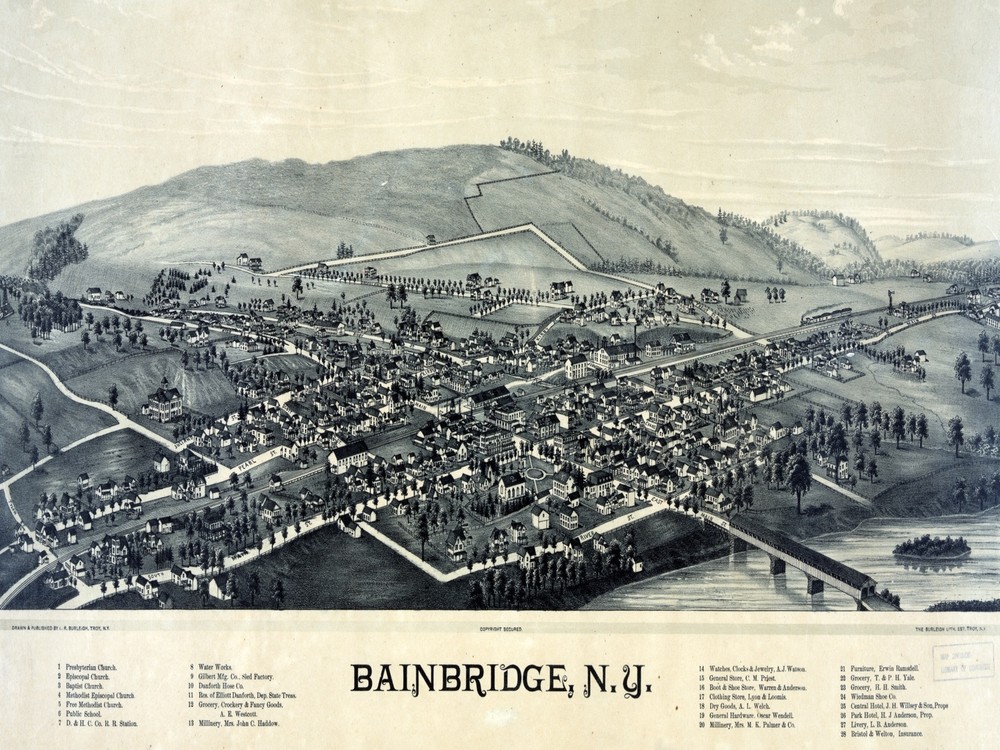 Panoramic Decor Poster.Fine Graphic Home Art Design. Bainbridge, N.Y. 2720