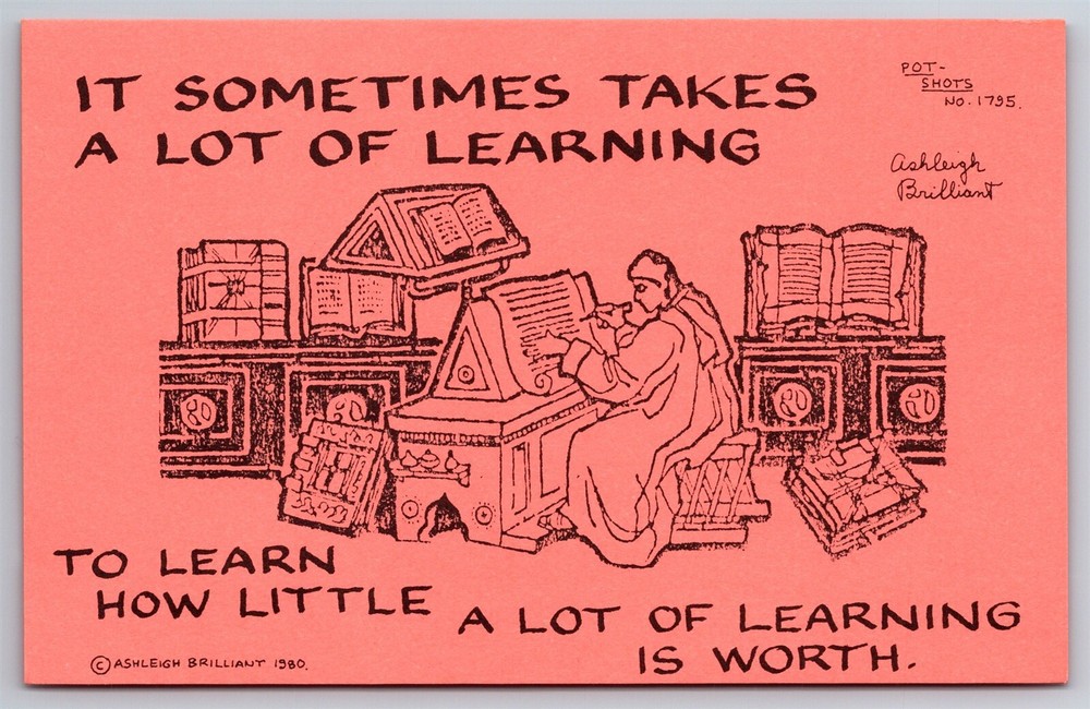 Pot Shots Humor Postcard Ashleigh Brilliant #1795 It Sometimes Takes A Lot Of...