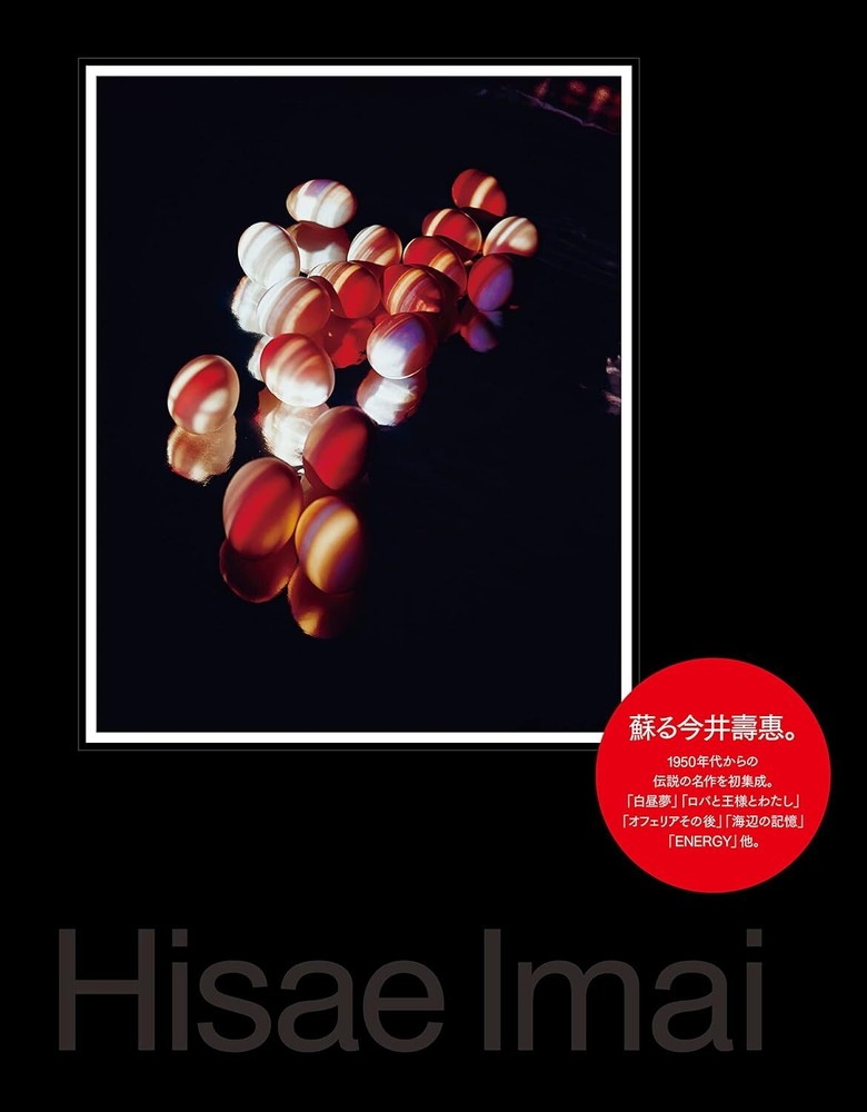 Hisae Imai Photo Collection Book from Japan Hardcover