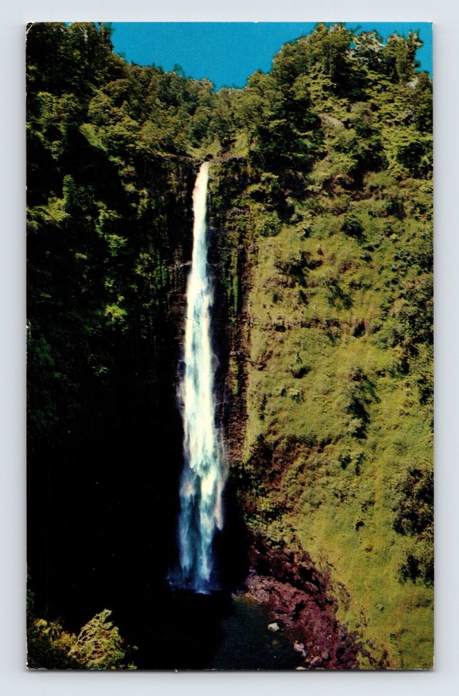 Postcard Hawaii Hilo HI Akaka Falls 1956 Posted Chrome