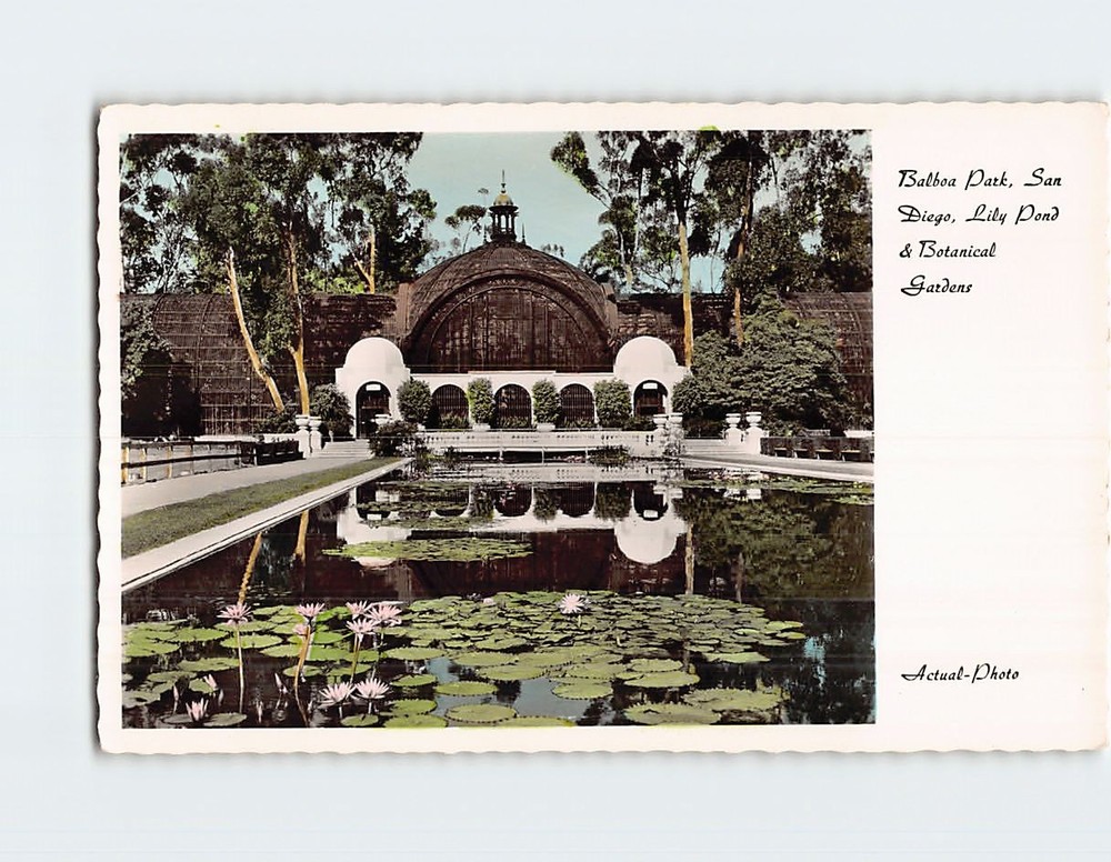 Postcard Lily Pond & Botanical Gardens Balboa Park San Diego California USA