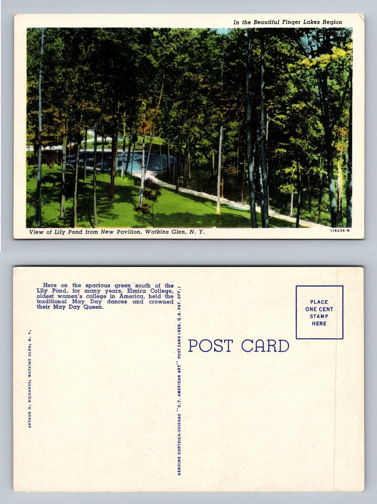 Watkins Glen, NY-New York, Lily Pond From The New Pavilion Vintage Postcard