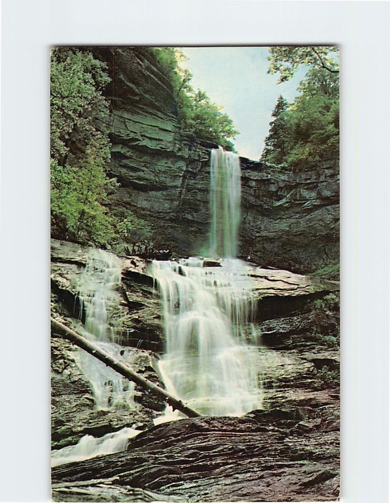 Postcard Raven Cliff Falls Near Caesar's Head South Carolina USA