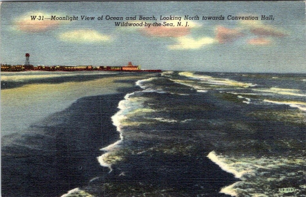 Moonlight View Looking North, WILDWOOD BY THE SEA, New Jersey Linen Postcard