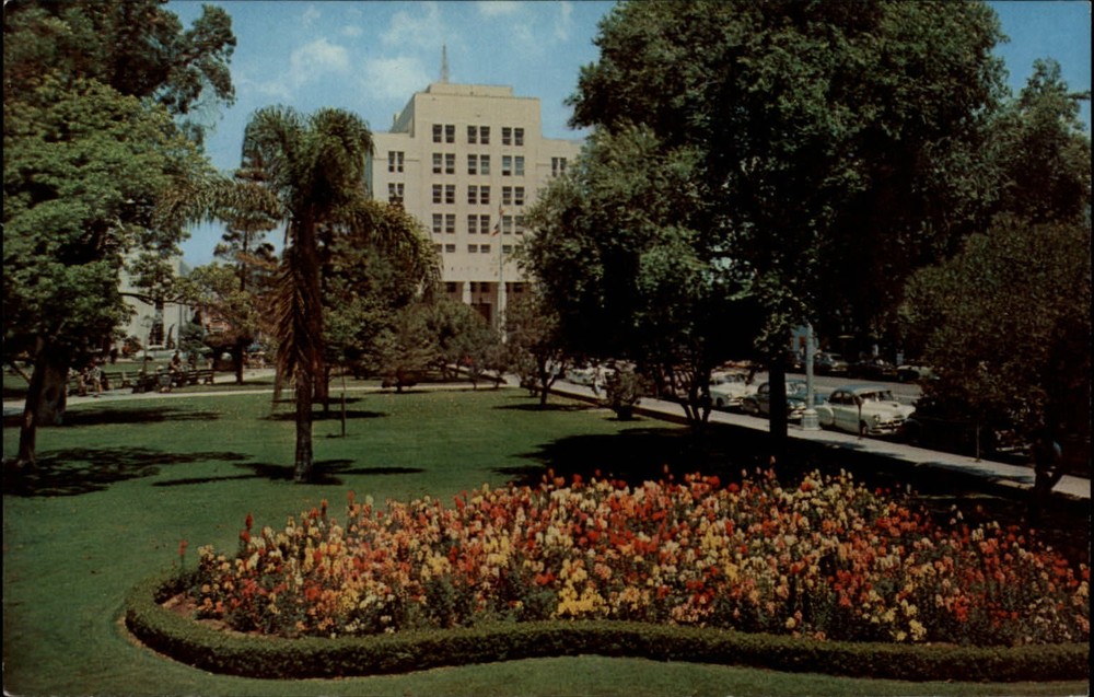 Flower Bed Lincoln Park Long Beach California ~ 1970s vintage postcard