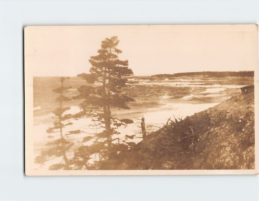 Postcard Trees Lake Landscape Scenery Vintage Picture